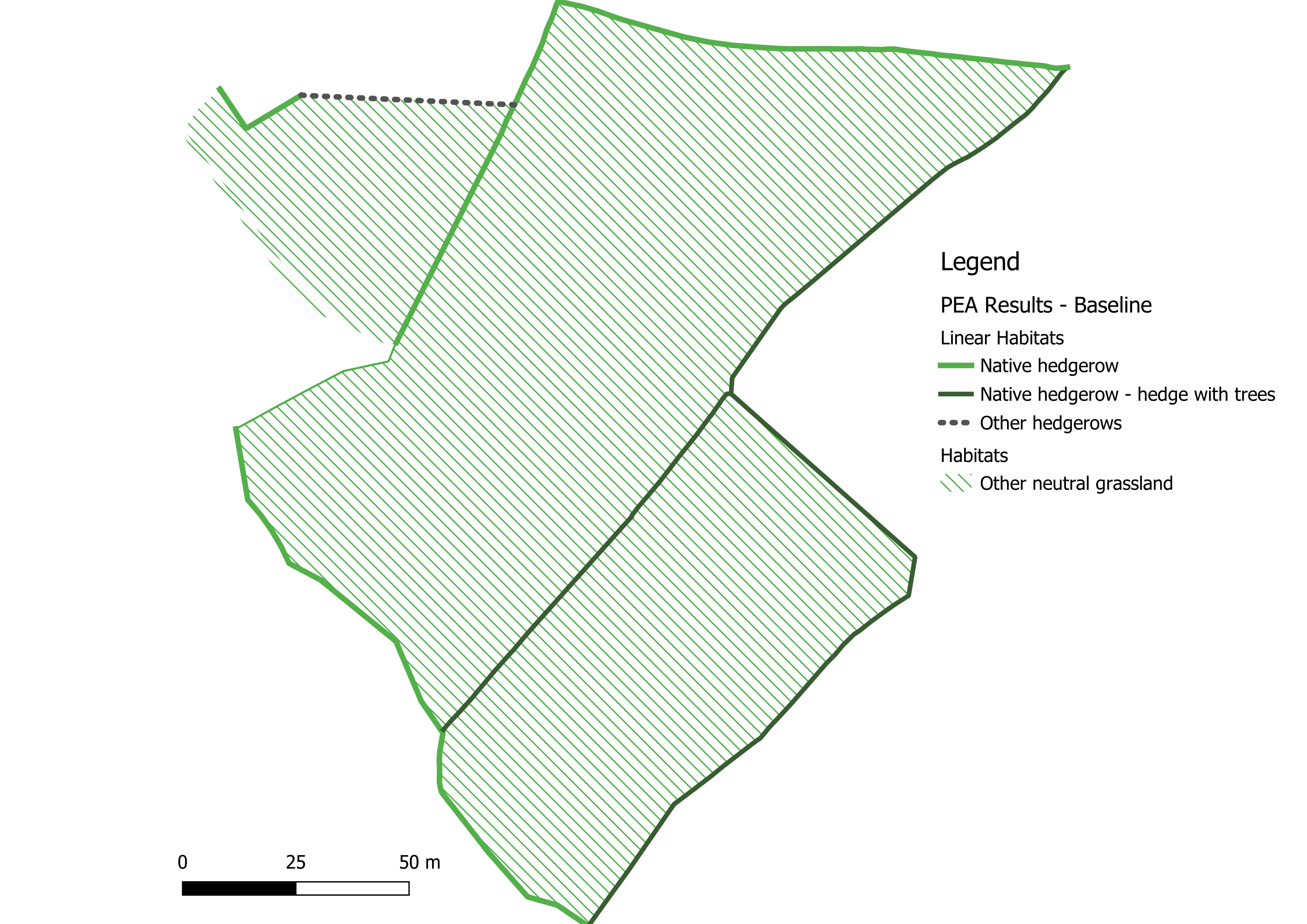 professional reporting: Ecological Surveys, BNG & Biodiversity Reporting