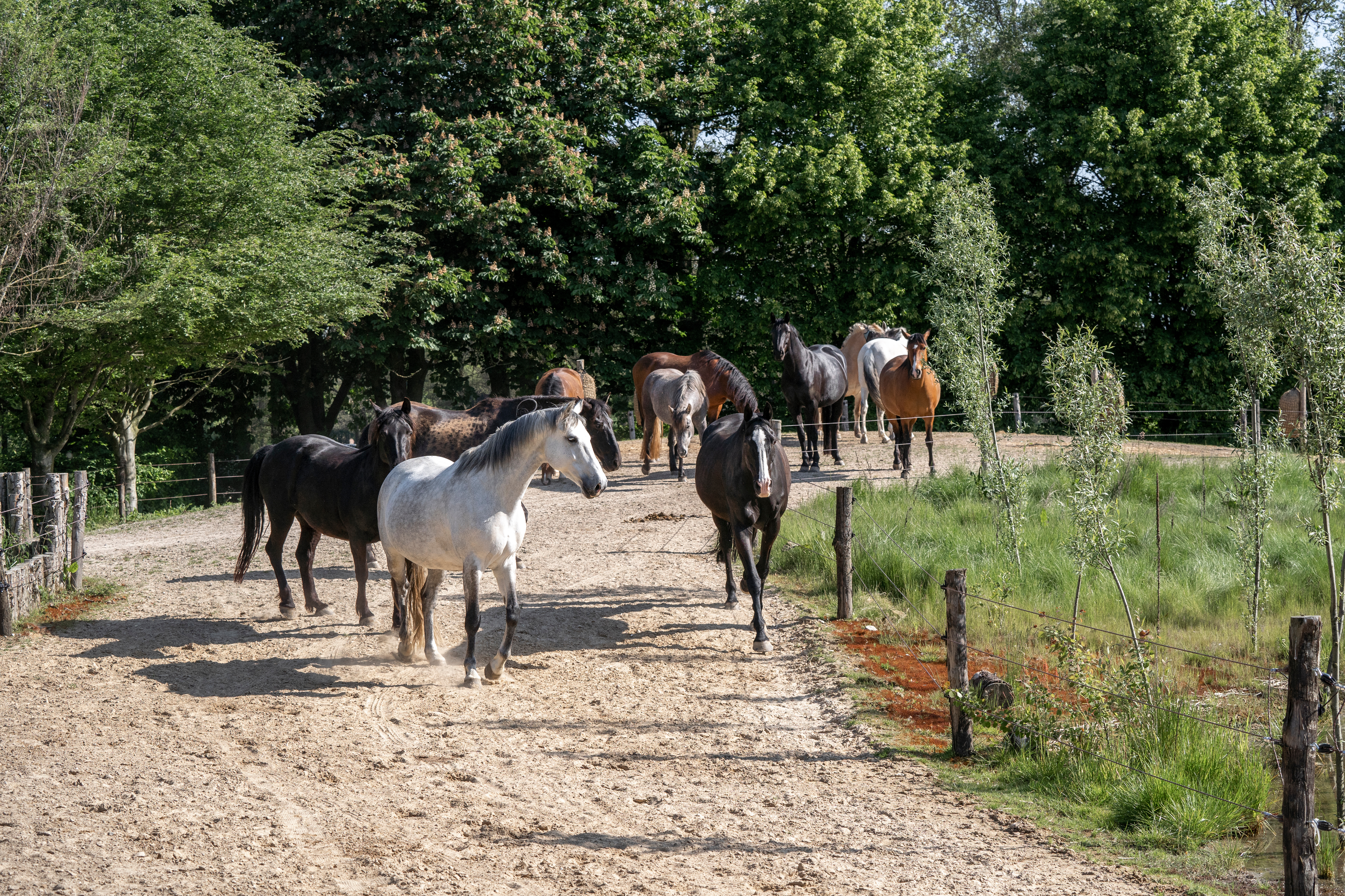 stakeholder engagement & training: from yard talks to collaborative success