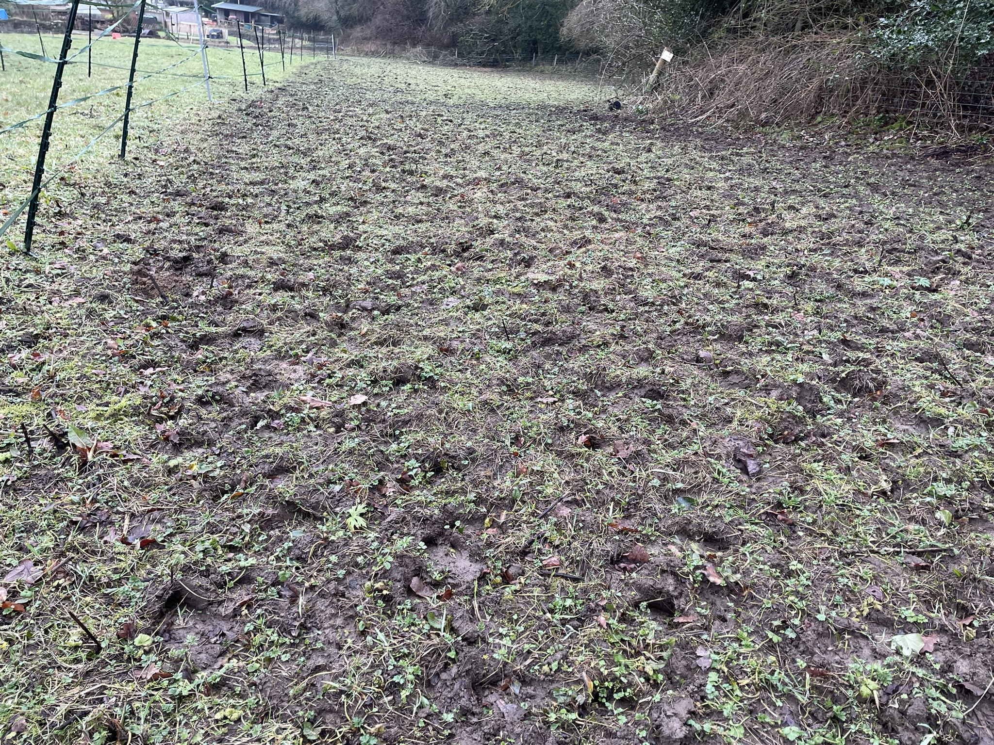 Small Land, Big Challenges: Overcoming Industrial Spoil