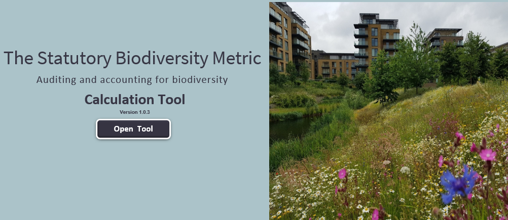 professional reporting: Ecological Surveys, BNG & Biodiversity Reporting