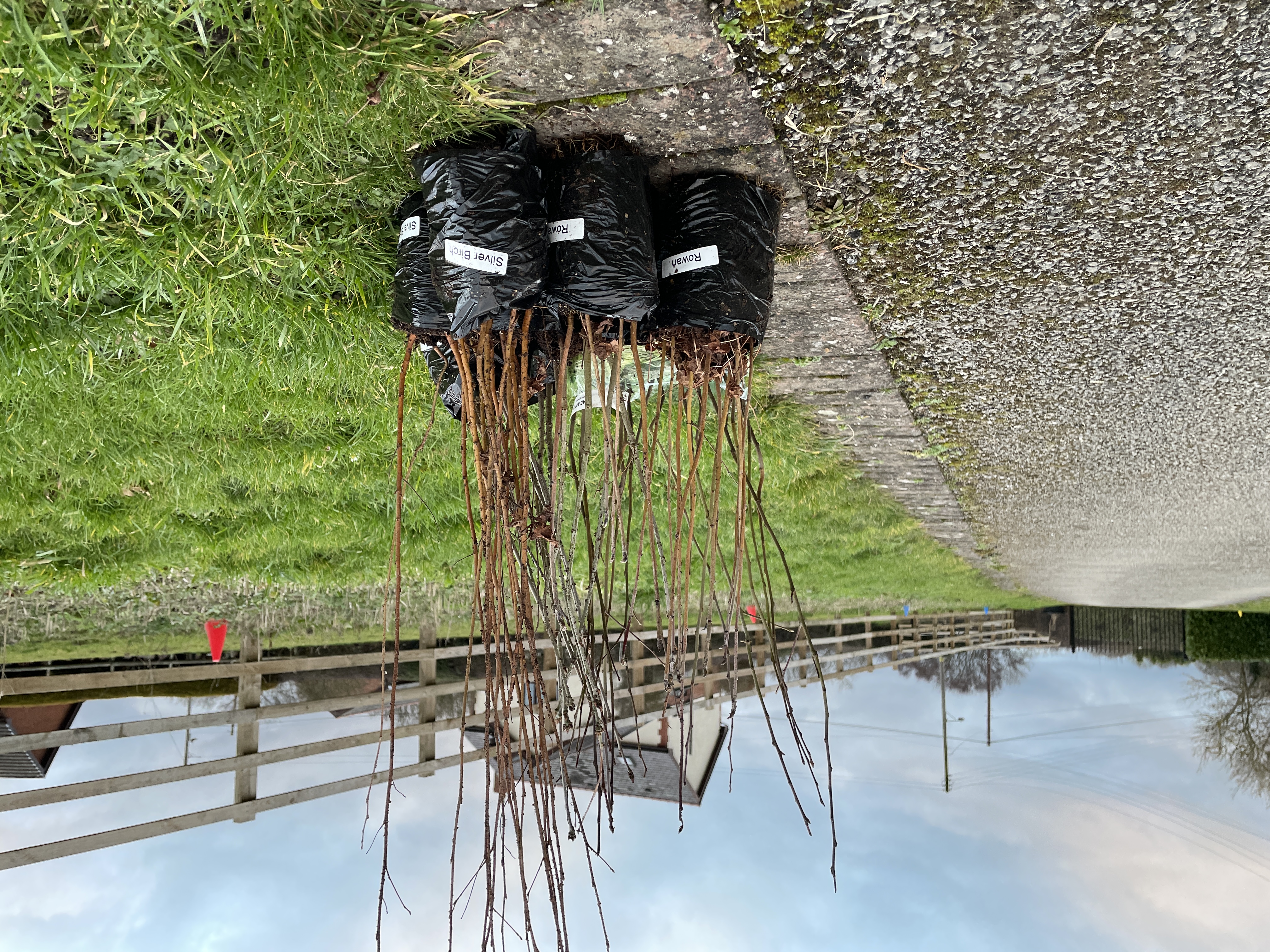 nature markets & grants support