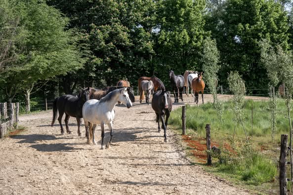 stakeholder engagement & training: from yard talks to collaborative success